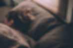 Person sleeping on a brown pillow, wrapped in a patterned quilt. Soft, dim lighting creates a peaceful and relaxed atmosphere.